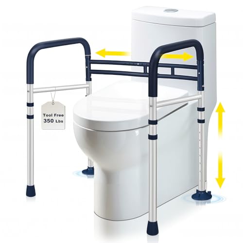 Toilet Safety Rails
