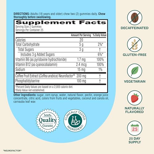 Plus Decaff Nootropic Brain Supplement for Memory