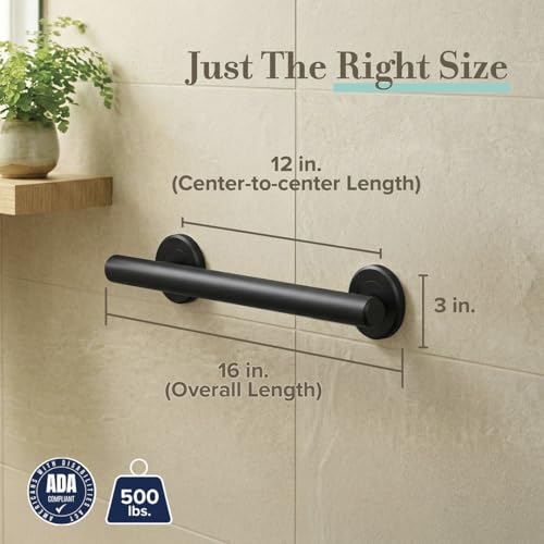 Latitude II Grab Bar