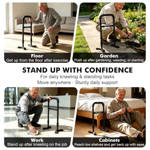 Stand Assist Aid Plus