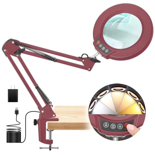 2-in-1 Desk Lamp with Light
