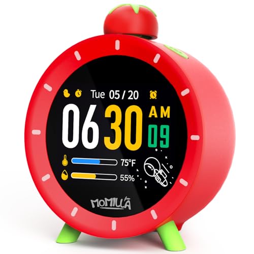 Alarm Clock for Heavy Sleepers