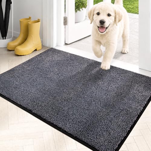 Dirt Trapping Indoor Door Mat