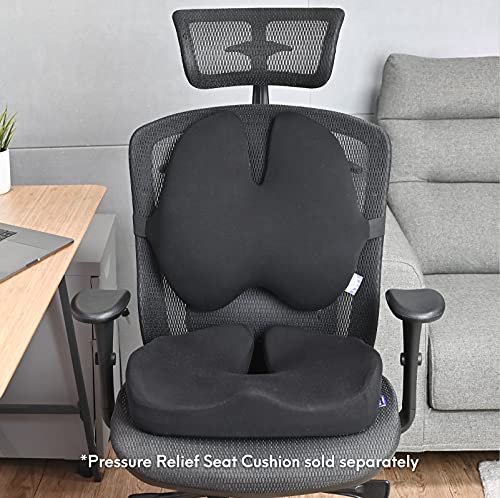 Cushion Lab Extra Dense Lumbar Pillow