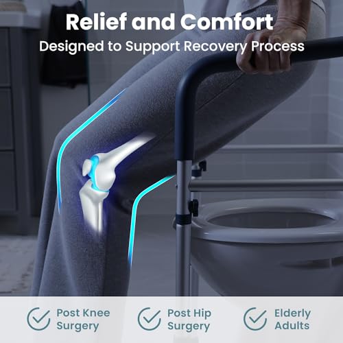 Toilet Safety Rails