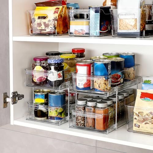 2 TIER SLIDE OUT ORGANIZER