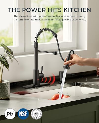 Kitchen Faucet with Pull Down Sprayer