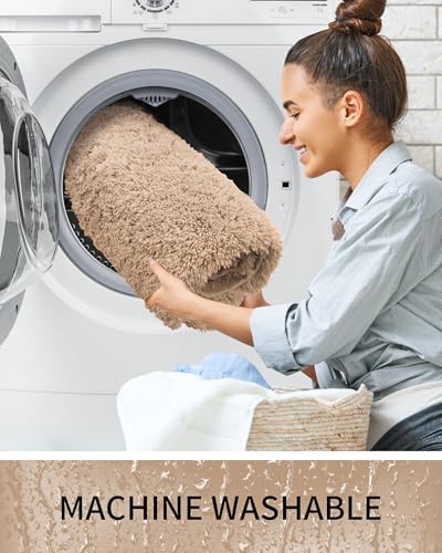 Fluffy Absorbent Bathroom Rug