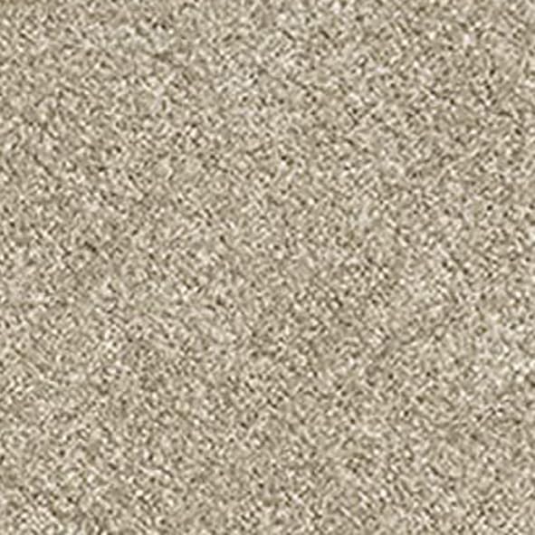 Carpet Stair Treads for Wooden Steps