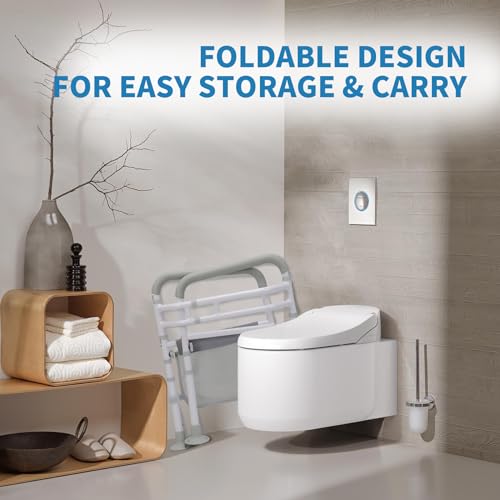 Toilet Safety Rails