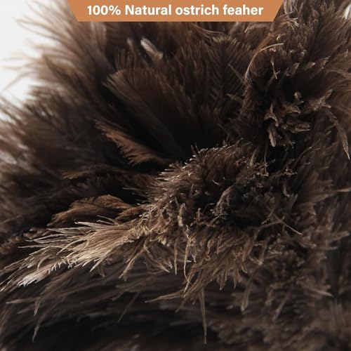 Ostrich Feather Duster Pole