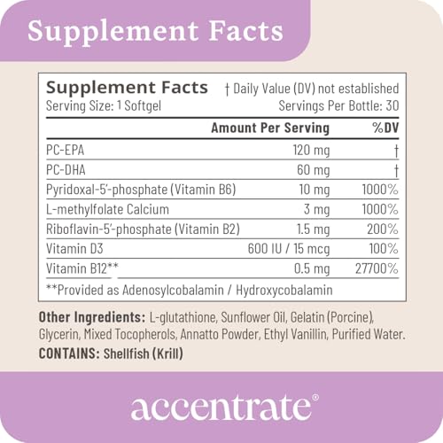 Brain Supplement for Focus & Attention