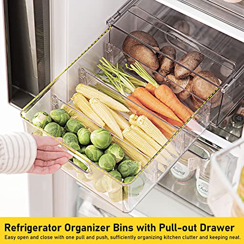 Fridge Drawer Organization Bins