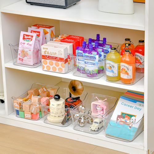 Clear Plastic Storage Bins
