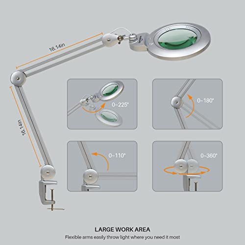 Bifocal Magnifying Lamp with Clamp