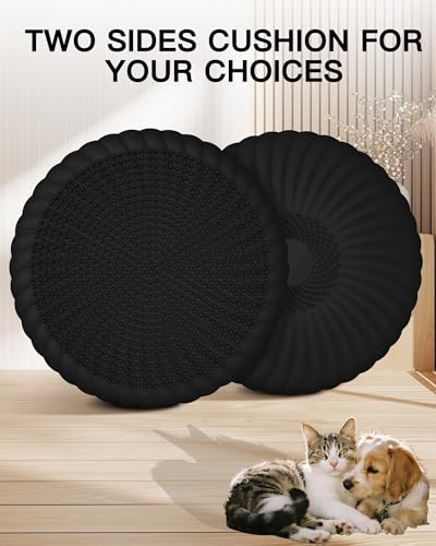 Wobble Cushion with Inflation Pump