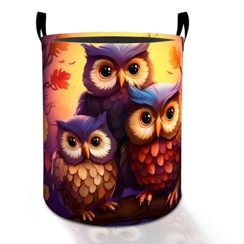Miniature Schnauzer Laundry Basket Hamper for Boys Girls Kids Adults