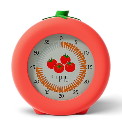 Visual Timer