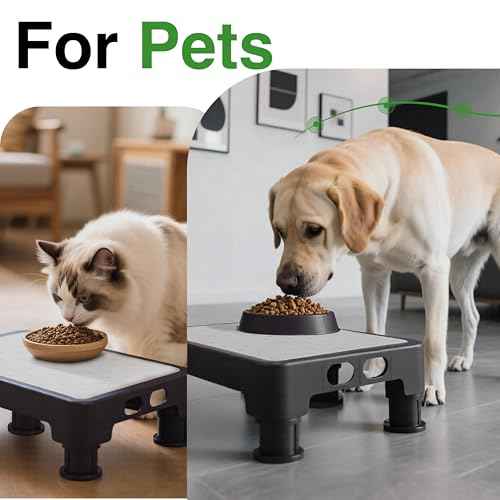 Step Stool for Bed
