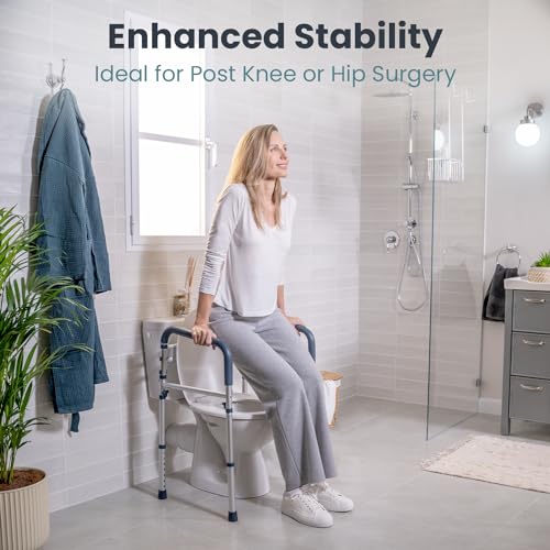 Toilet Safety Rails