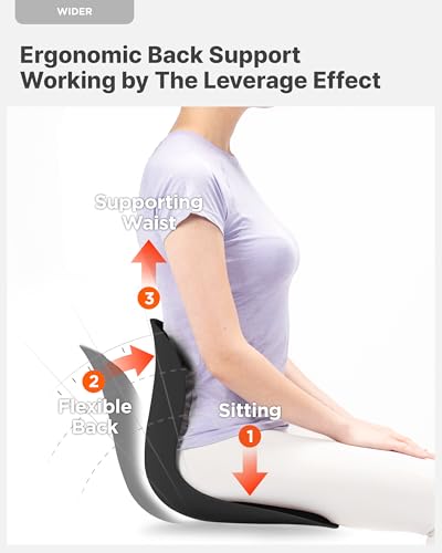Curble Chair Teenager] Ergonomic Lower Back Chair Support