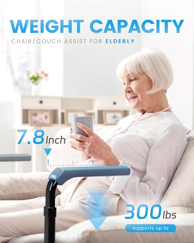 Mobility Standing Aid Rail for Couch