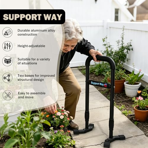 Stand Assist Aid Plus