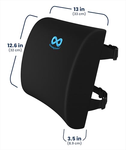The Original Lumbar Support Pillow