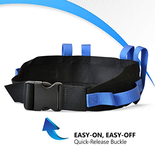 Transfer Gait Belt