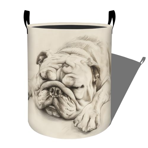 Funny Cartoon Potato Face Laundry Basket