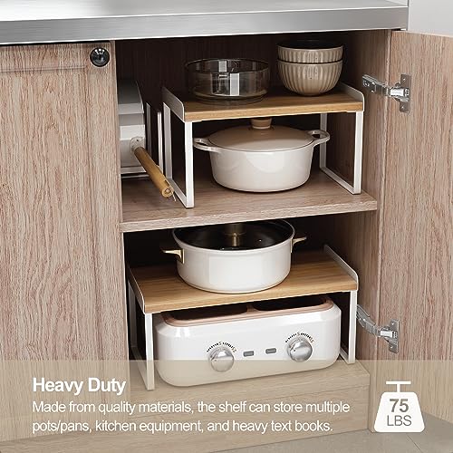 Organizer Shelf and Storage