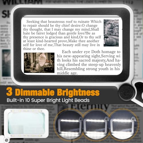 Rechargeable Magnifying Glass with Light for Reading