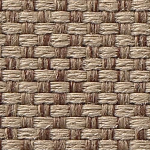 Ultra Thin Indoor Door Mat
