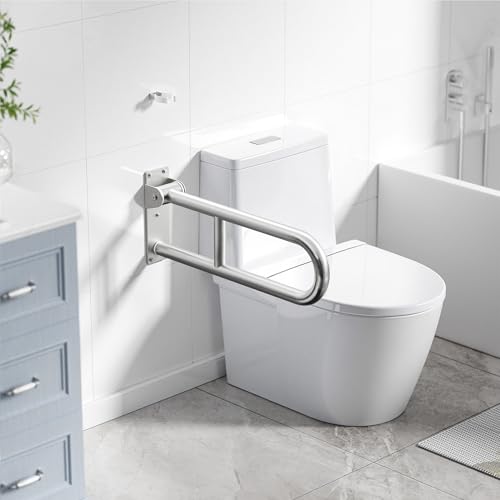 Toilet Grab Bar