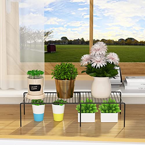 kitchen counter and cabinet shelf organizers