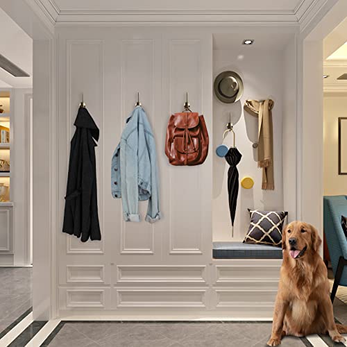12 Pack Coat Hooks