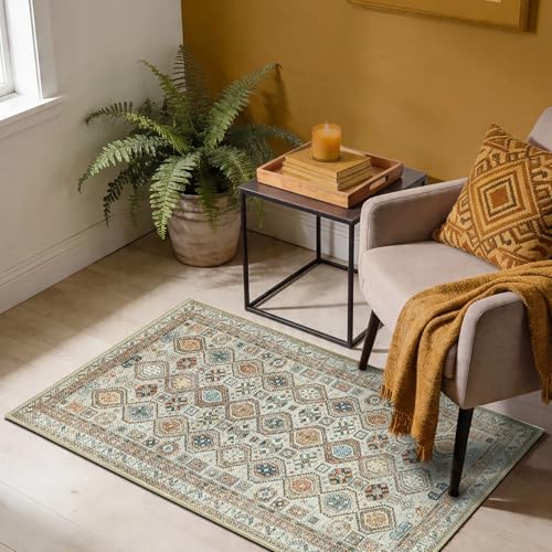 Machine Washable Area Rug with Non