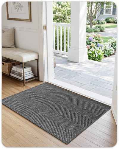 Ultra Thin Indoor Door Mat