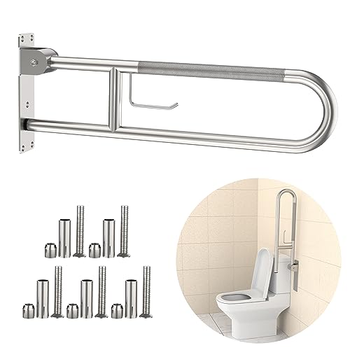 Toilet Grab Bar
