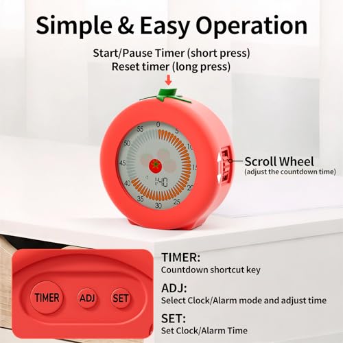 Visual Timer