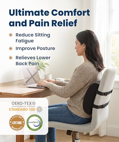 The Original Lumbar Support Pillow