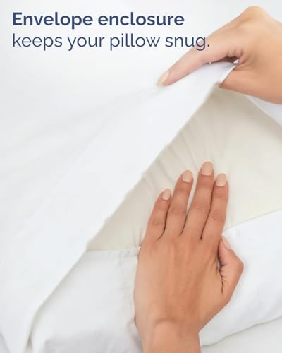 6 Piece Bed Sheet Set