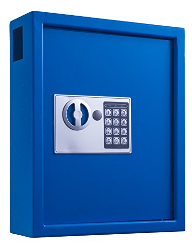 40 Keys Cabinet with Digital Lock