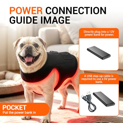 Dog Hip Brace with Red Light Therapy
