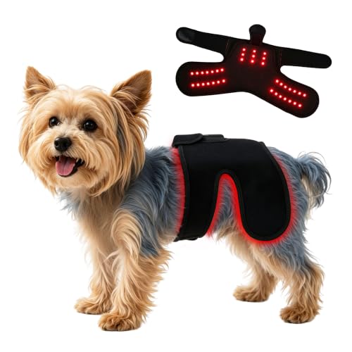 Dog Hip Brace with Red Light Therapy