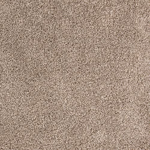 Dirt Trapping Indoor Door Mat