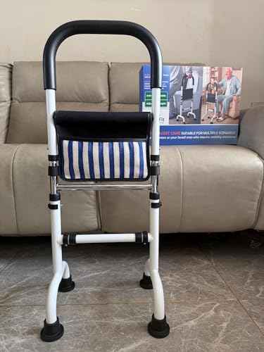 Stand Assist Aid for Elderly; Help Seniors Getting Up from Lower Seats; Mobility Aids for Short Indoor Movements； Bear 350Lbs