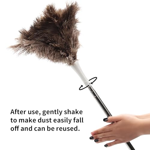 Ostrich Feather Duster Pole