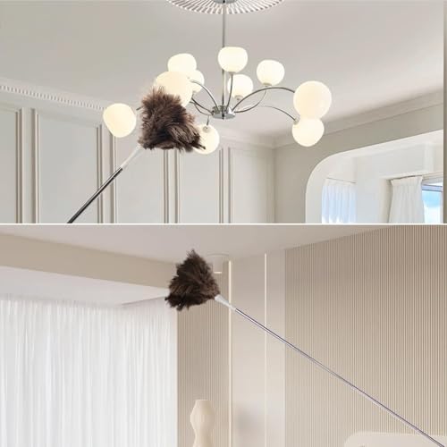 Ostrich Feather Duster Pole