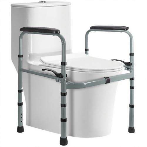 Toilet Safety Rail